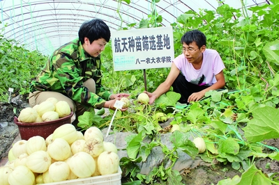 十三五開局之年 經(jīng)濟社會發(fā)展平穩(wěn)，農(nóng)業(yè)科研試驗發(fā)展邁出新步伐